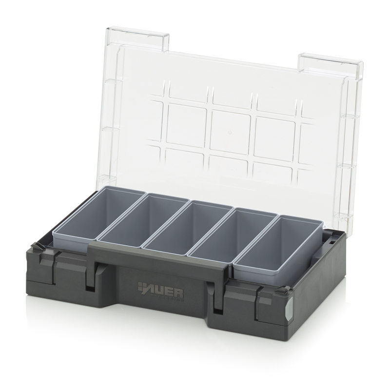 AUER Packaging Assortimentsbox met toebehoren 30 x 20 cm SB 32 B2