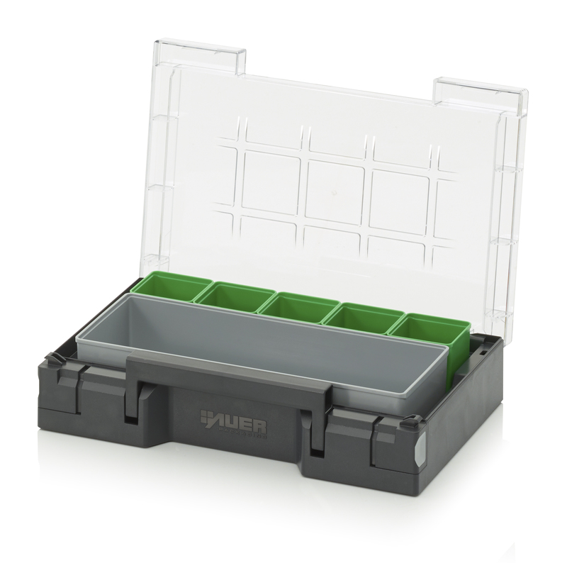 AUER Packaging Caja de surtido equipado 30 x 20 cm SB 32 B4